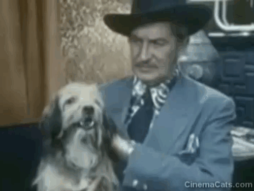 Mooch Goes to Hollywood - Siamese cat on woman's lap in waiting room hissing at Vincent Price and Mooch Higgins Benji dog animated gif