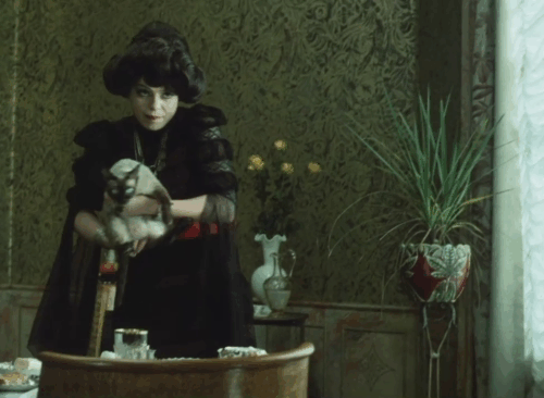 Morgiana - Viktoria Iva Janzurová holding up seal point Siamese cat to parrot in cage animated gif