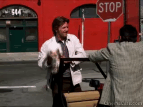 The Morning After - flame point cat fidgeting in Turner Jeff Bridges arms animated gif