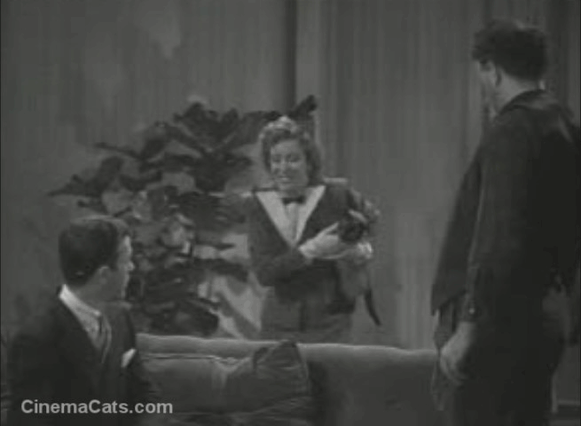 Mr. and Mrs. North - Siamese cat Pete swipes at Mr. North animated gif