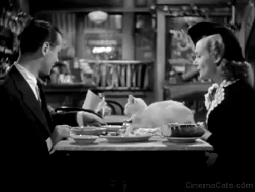 Mr. and Mrs. Smith - David Robert Montgomery offers white cat soup on table with Ann Carole Lombard animated gif