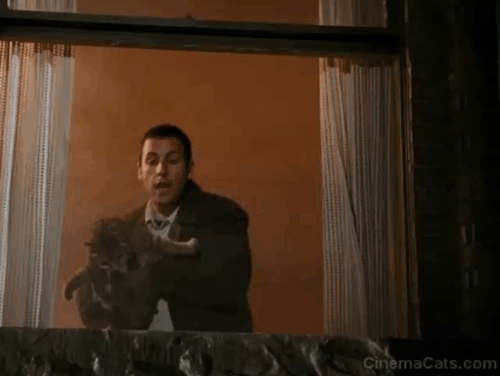 Mr. Deeds - tabby cat thrown out of window by Deeds Adam Sandler and caught by Babe Winona Ryder animated gif