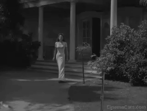 The Mummy's Ghost - black cat crosses Amina Ramsay Ames path animated gif