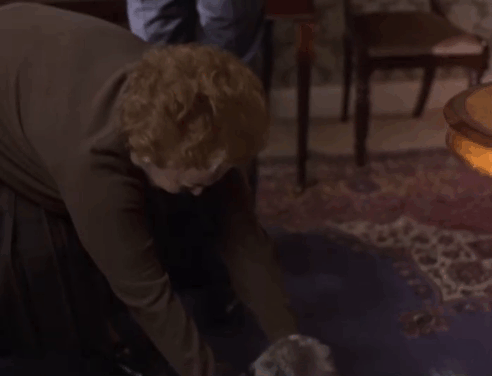 Murder is Easy - Miss Wainfleet Olivia de Havilland picking up and trying to hold longhair Persian diluted calico cat Wonky-Pooh animated gif