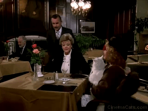 Murder She Wrote - Capitol Offense long-haired white cat held by Kaye Sheppard Edie Adams startled by menu animated gif