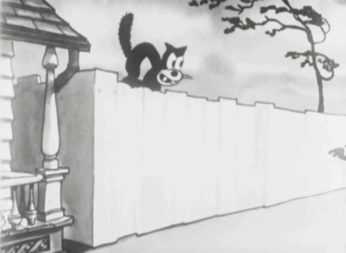 Mysterious Mose - cartoon black cat on fence swiping at shadow before being punched and turning into nine yowling cats animated gif