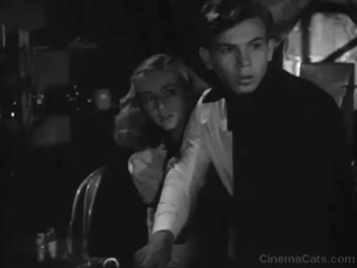 Nancy Drew Detective - Nancy Drew Bonita Granville and Ted Frankie Thomas find fuzzy grey and white kitten in cupboard animated gif