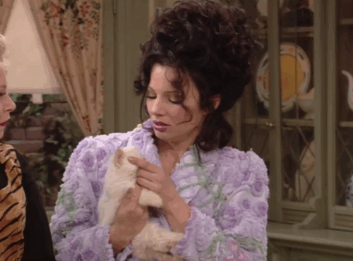 The Nanny - Fran's Gotta Have It - Val Rachel Shagall with Fran holding flame point kitten animated gif