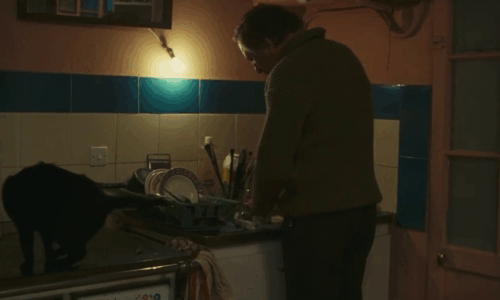 Neige - black cat on counter anxiously waiting to be fed by Bruno Paul La Person animated gif