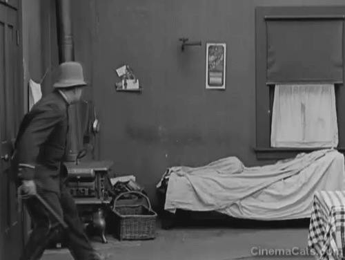 Neighbors - policeman pulls covers off bed revealing mama cat and kittens animated gif