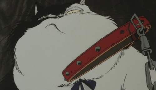 Neo Tokyo - cartoon longhair black and white cat Cicerone scared of invisible dog on leash animated gif