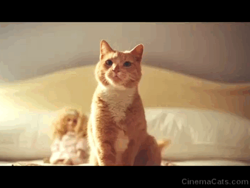 The New Daughter - ginger tabby cat Marmalade looking curiously at Louisa Ivana Baquero animated gif