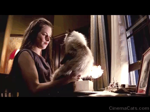 Next of Kin - Linda Jackie Kerin picking up and holding Himalayan cat on her shoulder animated gif