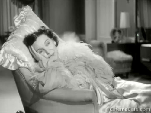 Niagara Falls - Emmy Zasu Pitts lying on lounge chair with black cat climbing up beside her animated gif