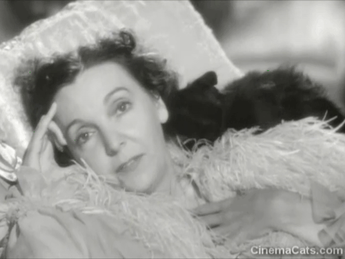 Niagara Falls - Emmy Zasu Pitts startled by black cat licking her face animated gif