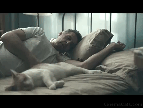 The Night Of - orange and white tabby cat lying on bed with John Stone John Turturro waking up with allergies animated gif