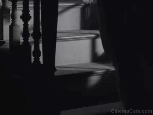 The Night of the Hunter - tabby cat running down stairs animated gif