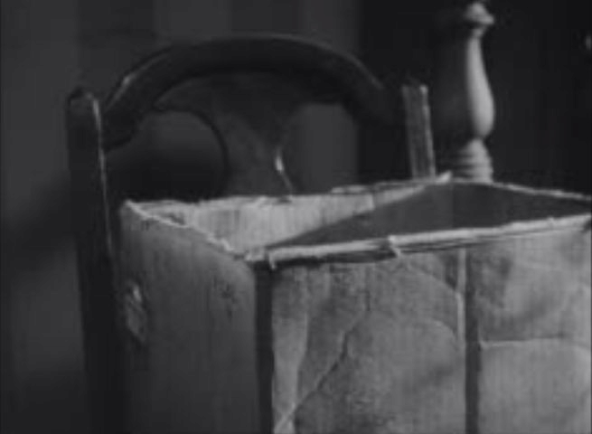 Night Song - kitten pops out of box