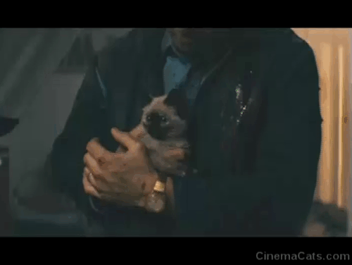 Nobody - Hutch Mansell Bob Odenkirk carrying tiny seal point Siamese kitten through bloody scene animated gif