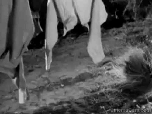 The Noose Hangs High - Siamese cat being chased by dog followed by Tommy Lou Costello running through clothes