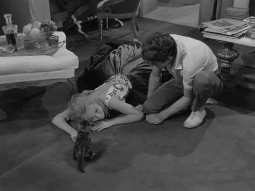 La notte brava - Laura Mylène Demongeot laying on floor playing with longhair tabby kitten with Ruggeretto Laurent Terzieff animated gif