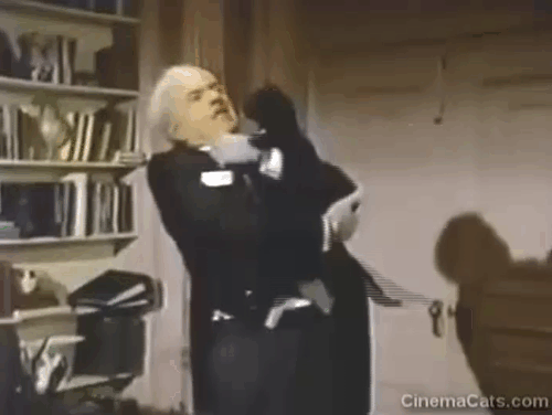 The Nutt House - Pilot - Reginald Harvey Korman being attack by black cat puppet animated gif