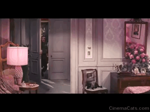 On the Double - Ernie Williams as Colonel MacKenzie Danny Kaye entering bedroom with Siamese cat Kim jumping off chair animated gif