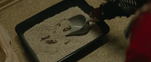 Onyx the Fortuitous and the Talisman of Souls - brown tabby cat Puck watching Onyx Andrew Bowser clean litter box animated gif