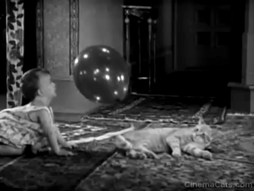 Our Gang - Bouncing Babies - baby playing with balloon tied to cat's tail animated gif