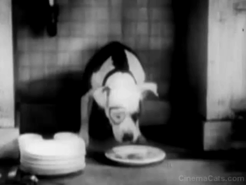 Our Gang - Little Mother Pete the Pup hits cat who is stealing food animated gif