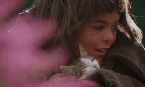 Paganini - Achille Nikolai Kinski holding brown and white tabby kitten as violin plays animated gif