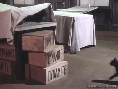 The Paleface - black cat climbing dynamite crates to crawl under sheet animated gif