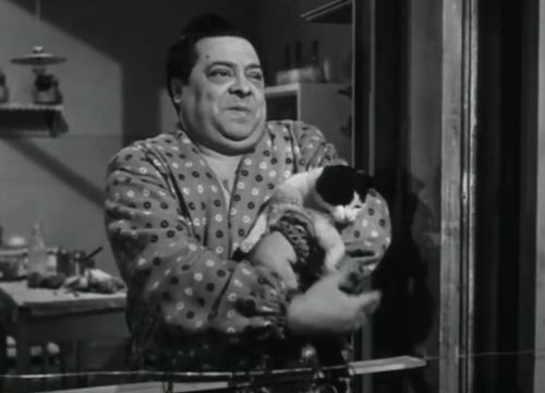Papa diventa mamma - Guiseppe Aldo Fabrizi with small tuxedo cat sitting thrown over arm animated gif