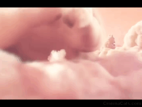 Partly Cloudy - cloud forming and creating ginger tabby kitten animated gif