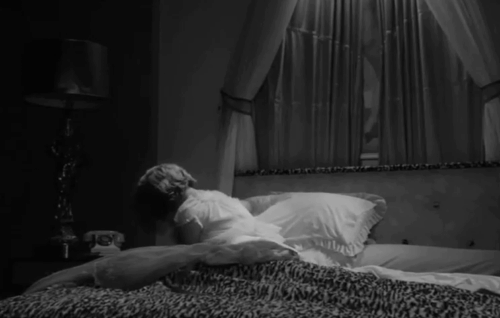 Part-Time Wife - Jenny Nyree Dawn Porter lying on bed with gray Persian cat being thrown at her startling Tom Anton Rodgers and Uncle Charles Henry McCarty animated gif