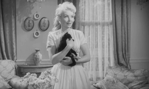 Passport to Shame - Room 43 - Malou Odile Versois holding black and white tuxedo kitten Mignon to show Vicki Diana Dors animated gif