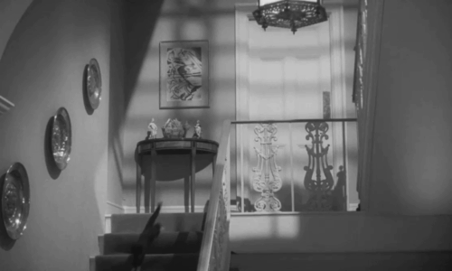 Passport to Shame - Room 43 - Malou Odile Versois chasing black and white tuxedo kitten Mignon down stairs and through door animated gif