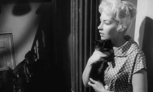 Passport to Shame - Room 43 - Malou Odile Versois holding black and white tuxedo kitten Mignon as woman and man pass and lamp swings animated gif