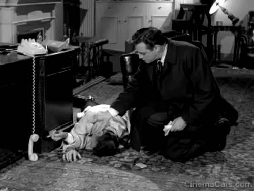 Perry Mason - The Case of the Silent Partner - Siamese cat approaching Perry Mason Raymond Burr and dead body then leaving animated gif
