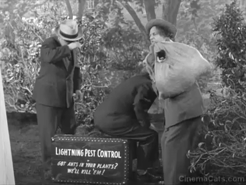 Pest Man Wins - Three Stooges Moe Shemp Larry setting down cat in bag animated gif