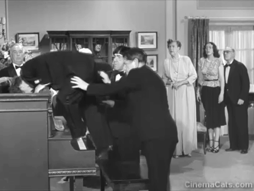 Pest Man Wins - Three Stooges Moe Shemp Larry with cats flying out of piano animated gif