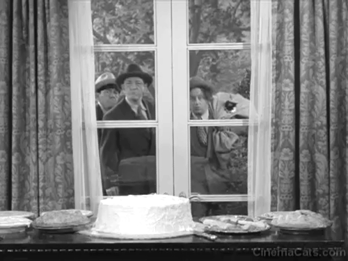 Pest Man Wins - Three Stooges Moe Shemp Larry with cats in bag approaching window animated gif