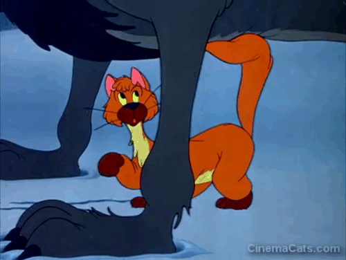 Peter and the Wolf - Ivan the cat screeching in fear from the wolf animated gif