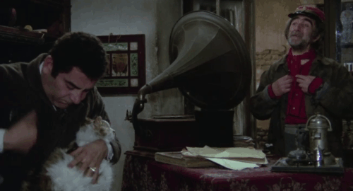 Er più: storia d'amore e di coltello - The Chinese Vittorio Caprioli picking fleas from fur of longhair tabby and white cat with soldier Enzo Maggio animated gif