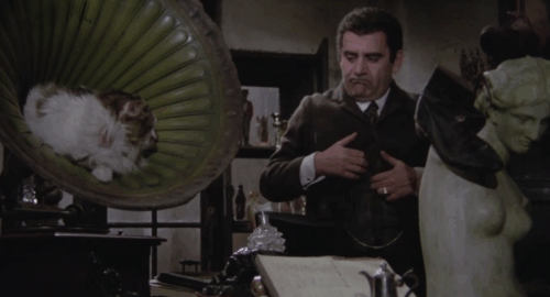Er più: storia d'amore e di coltello - The Chinese Vittorio Caprioli poking items at longhair tabby and white cat sitting in gramophone horn animated gif