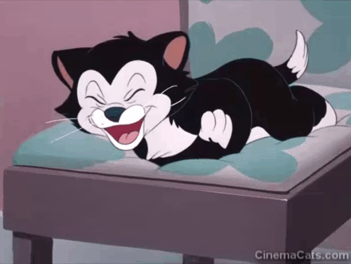 Pluto's Sweater - Figaro kitten laughing animated gif