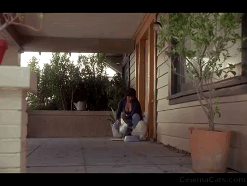 Poetic Justice - Justice Janet Jackson feeding long-haired white cat White Boy on porch and three other cats approach when she steps inside animated gif