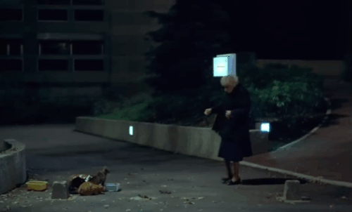 Police Python 357 - old woman Gabrielle Doulcet picking up glove near a group of feral cats eating from dishes outside building animated gif