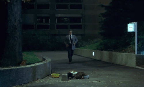 Police Python 357 - Marc Ferrot Yves Montand dropping a glove as he passes a group of feral cats eating from dishes outside building animated gif