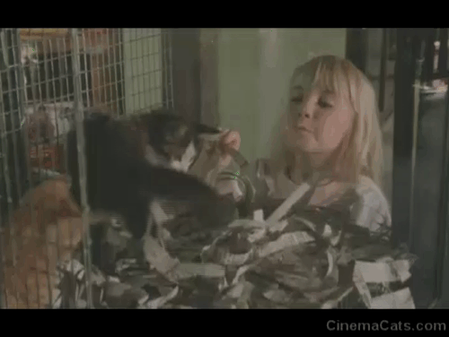 Poltergeist 2 - Carol Anne Heather O'Rourke looking at two kittens in window of pet store animated gif